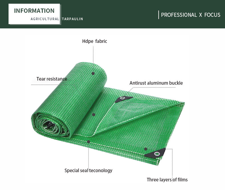 professioneller x Fokus