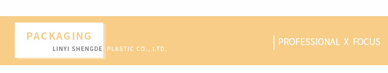 professioneller x Fokus