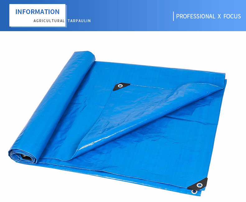 professioneller x Fokus