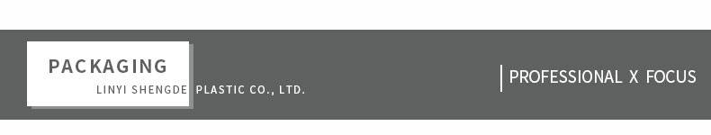 professioneller x Fokus