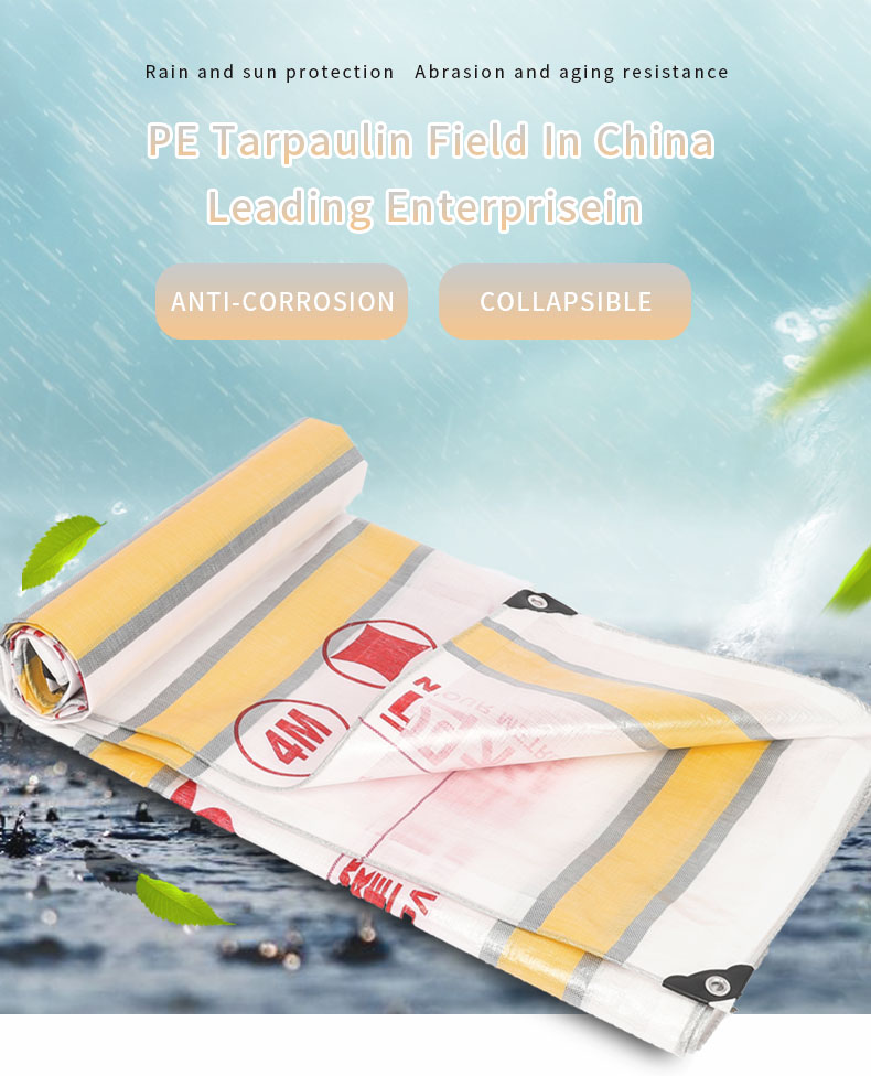 Preis f&uuml;r Plane mit gelben, silbernen und wei&szlig;en Streifen