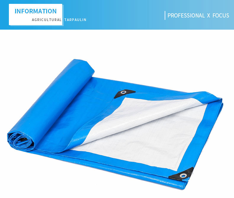 professioneller x Fokus