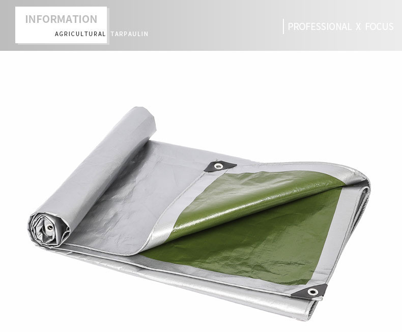 professioneller x Fokus