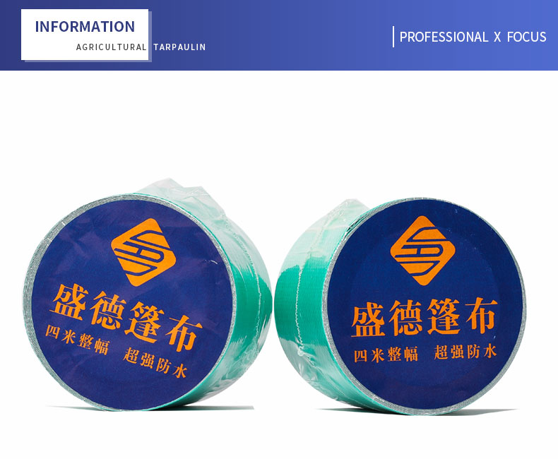 professioneller x Fokus