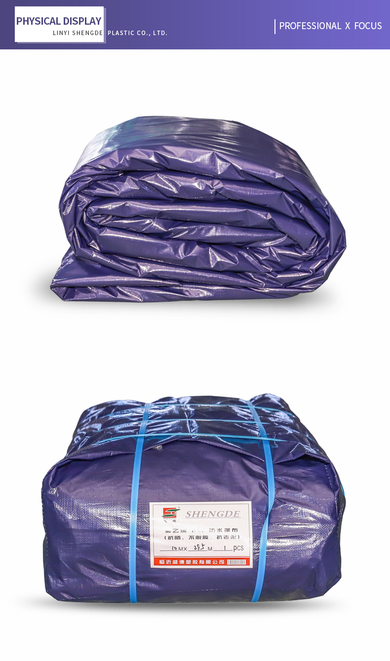 professioneller x Fokus