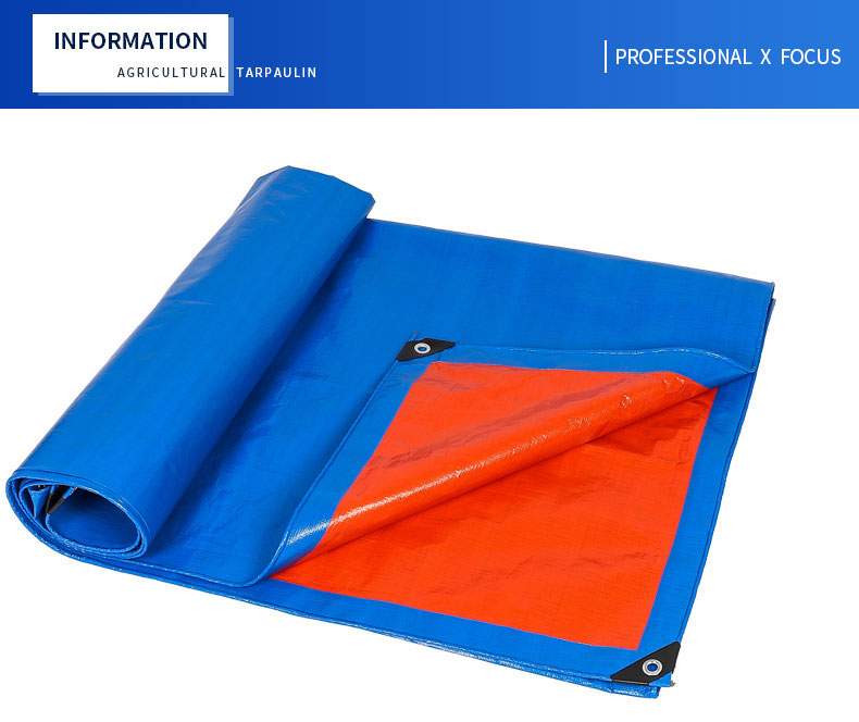 professioneller x Fokus