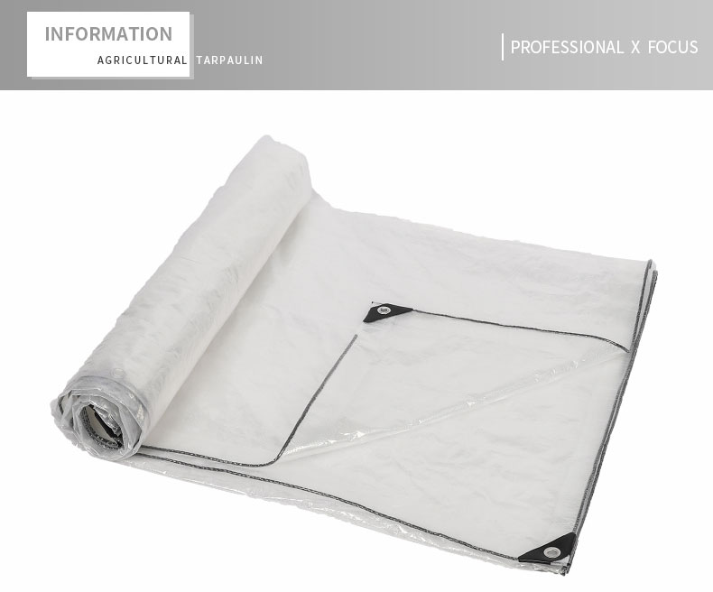 professioneller x Fokus