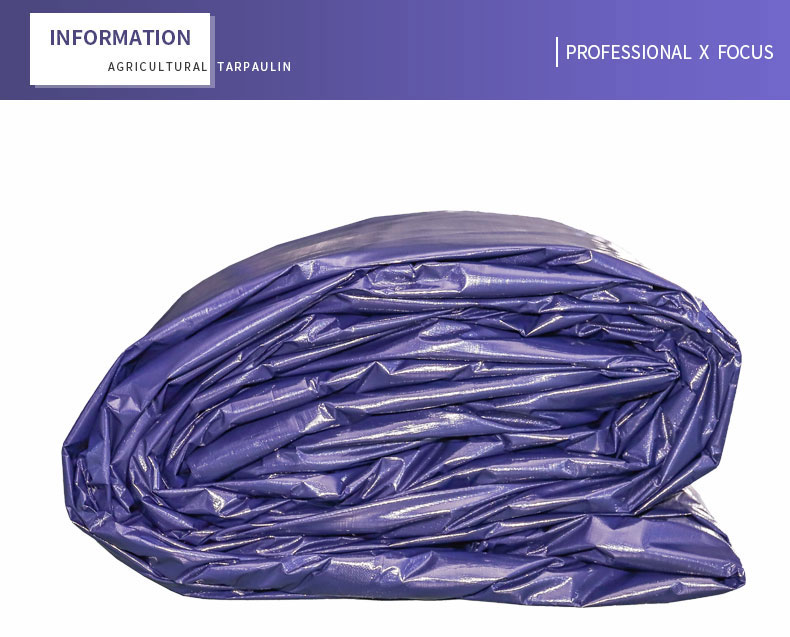 professioneller x Fokus