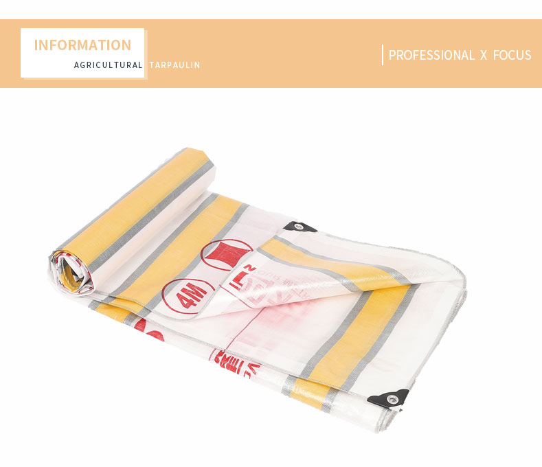 professioneller x Fokus