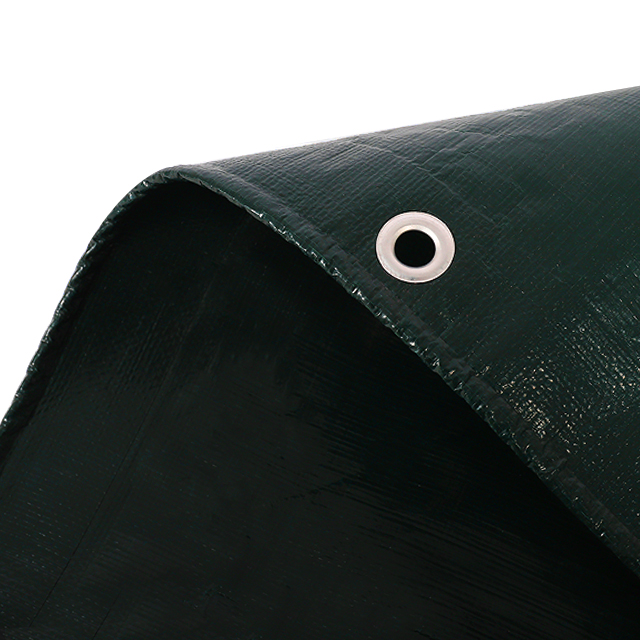 Dunkelgr&uuml;ne PE-Plane